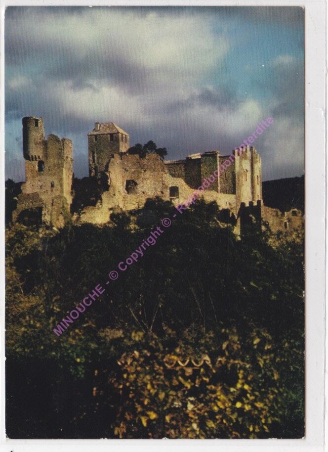 couleur vert (8).jpg